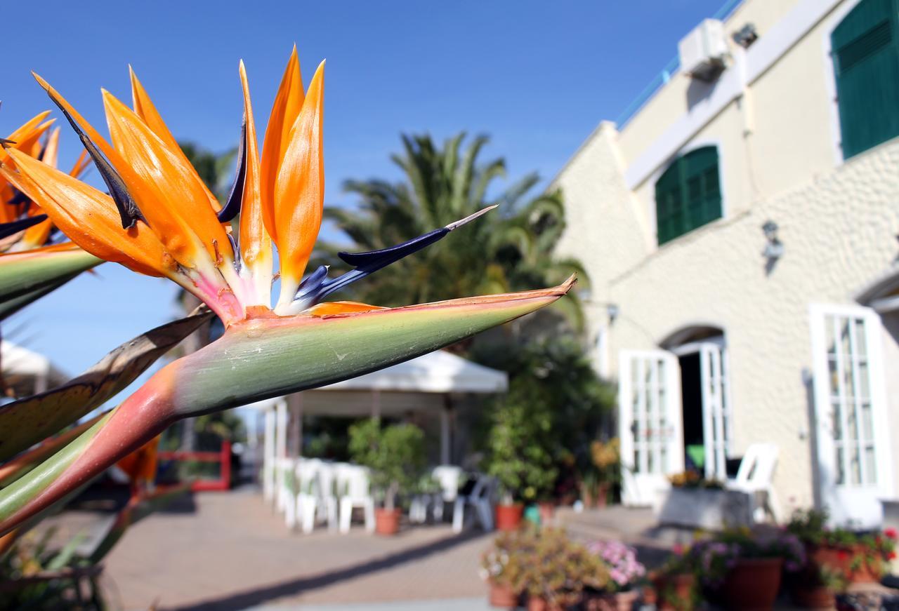 Albergo Ristorante Lucciola Santo Stefano al Mare Exterior foto